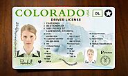 Colorado Fake Driver License - Buy Fake ID and Driver License For USA , UK and EU