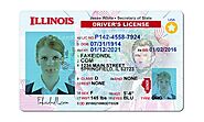 Illinois Fake Driver License - Buy Fake ID and Driver License For USA , UK and EU