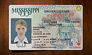 Mississippi Fake Driver License - Buy Fake ID and Driver License For USA , UK and EU