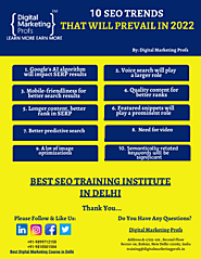 SEO Training Institute In Delhi [Digital Marketing Profs]