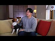 Shohei Ohtani discusses winning his second AL MVP Award