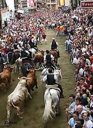 Volksfeste in Castellón - Castelló, Spanien: Stier- und Pferdehatz von Segorbe in Spanien: | Spain.info auf deutsch