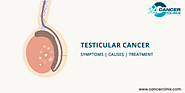 What Causes Testicular Cancer?