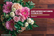 8 Best Mother's Day Flowers to Send in 2022 - Flower Story