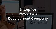 WordPress Development Services | Custom WordPress Development