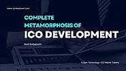 Complete Metamorphosis Of ICO Development And Initiation