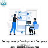 Hire CDN Solution an enterprise app development company USA