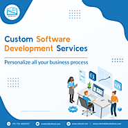 Hire Software Developer | Custom Application Development Services