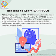 Reasons to Learn SAP FICO