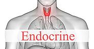 Endocrine Causes and Symptoms | Zaib Hospital Lahore