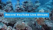[Easy Tutorial] How to Record YouTube Live Stream on PC?