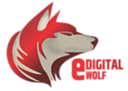 SEO Optimization- SEO Packages | Edigitalwolf