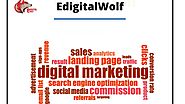 Pay Per Click Marketing Service | PPC Campaign | Edigitalwolf
