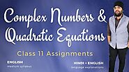Complex Numbers Class 11 Notes & Assignments