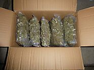 Pounds Of Weed For Sale - Weed Me Good
