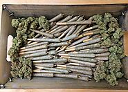 Buy Weed Online - Weed For Sale From Recreational Dispensary Near Me