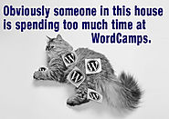 What Happens When You Spend Too Much Time at WordCamps