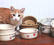 Ceramic Deep Dog Bowls