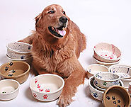 Ceramic Pet Bowls, Safe, Large: Made in the USA | Emerson Creek Pottery
