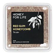 Shop Unique Honey & Honeycomb Online | Red Gum Honey for Life