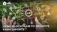 Using Blockchain to Promote Farm Exports