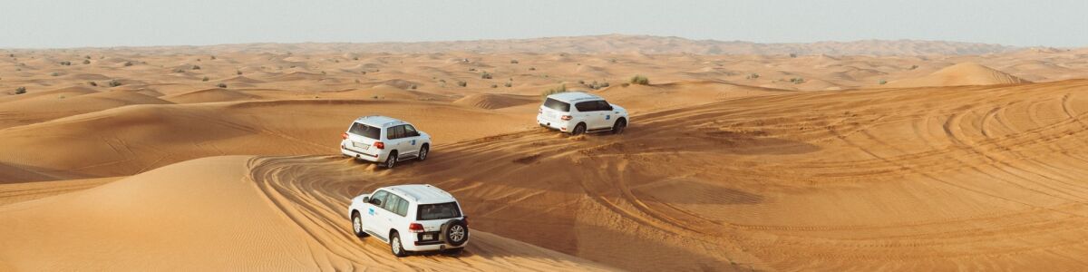 Headline for Top Doha Safaris – It’s a great experience!