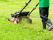 Affordable Lawn Mowing Services in Sydney | Garden Lawn Edging