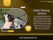 Gutter Cleaning Services