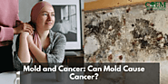 Mold and Cancer: Can Mold Cause Cancer? - Occupational and Environmental Medicine | North Charleston SC