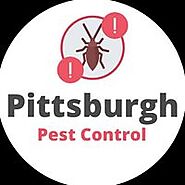 Pittsburgh Pest Control - Home