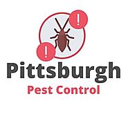 Pittsburgh Pest Service (PittsburghPestControl) - Profile | Pinterest