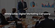 White Label Digital Marketing Agency in India & USA