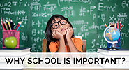 Why School is Important? | Top Reasons You Should Know