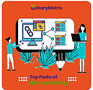 Top Perks of SEO Link Building