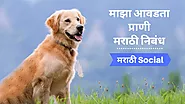 माझा आवडता प्राणी कुत्रा मराठी निबंध, Essay On Dog in Marathi