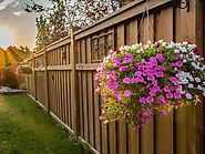 Know How To Prevent Termites in Wood Fences
