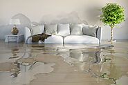 Tips To Keep In Mind When Your Home Has A Water Damage Issue!