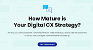 Digital CX Strategy | Assessment - Acquire