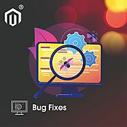 Magento 2 Bug Fixes Support