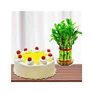 2 layer lucky bamboo plant with 1 pound pineapple cool cake