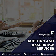 Assurance & Auditing Firm in the USA | Auditing & Assurance Services – HCLLP