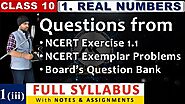 NCERT Exercise 1.1 Real Numbers Class 10 Maths Chapter 1