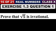 Question 1 of Exercise 1.3 Real Numbers Class 10 Maths Chapter 1