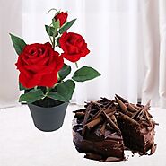 Buy & send a red rose plant with a chocolate cake online at best price