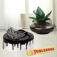 1 pound choco vanilla cake with synseveria plant in glass bowl with a toblerone chocolate