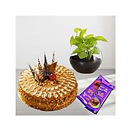 1 pound butterscotch cake with money plant terranium with set of 2 dairy milk chocolates