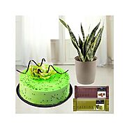 Send Kiwi cake | 2 temptations chocolates | syseveriea plant online - My flowergift