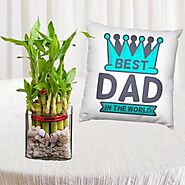 Photo cushion with 2 layer lucky bamboo plant