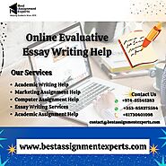 Evaluative essay