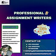 Professional Assignment Writers